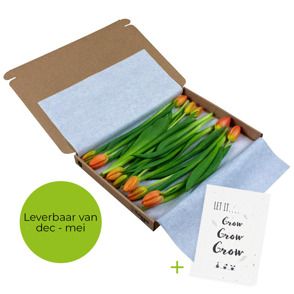 12 tulpen in doosje | Eco geschenk